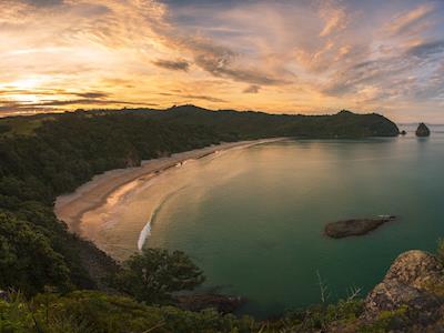 Preserve New Chum for Everyone Inc