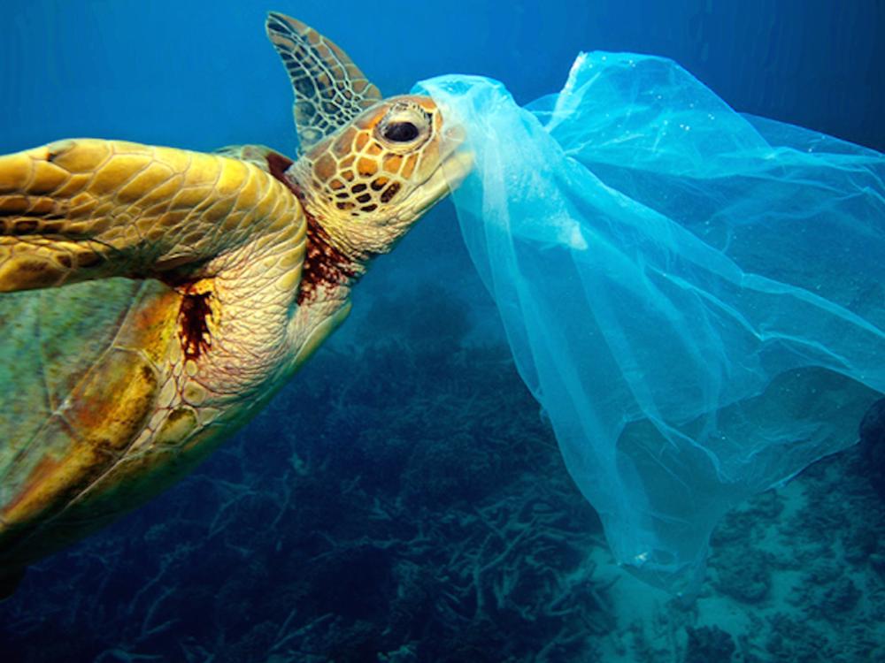 Plastic waste solution for New Zealand Givealittle