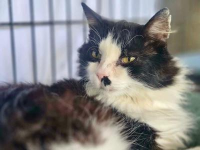 Help Dougal get the treatment he needs — and right now, your donation is DOUBLED.