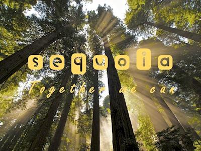 Sequoia - Together we can