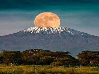 Trevor's Kilimanjaro Trek