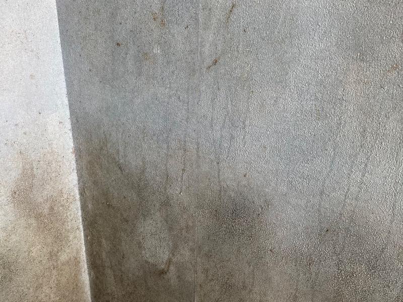 Help Restore My Home Fix Black mould on All External Walls for a
