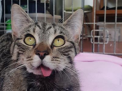 ♡ PLEASE HELP OTIS ♡