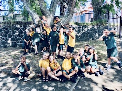 Room 10 Koha - Onehunga Primary School