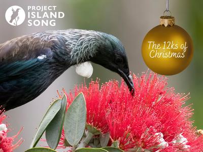 The 12ks of Christmas for Project Island Song - 2025