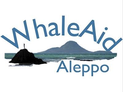 WhaleAid Aleppo