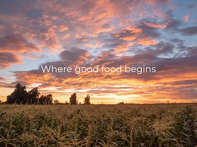 Cedenco Foods - HB Hundy Team