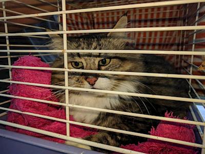 Fundraiser For Mathew