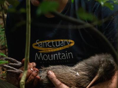 Maungtautari Ecological Island Trust