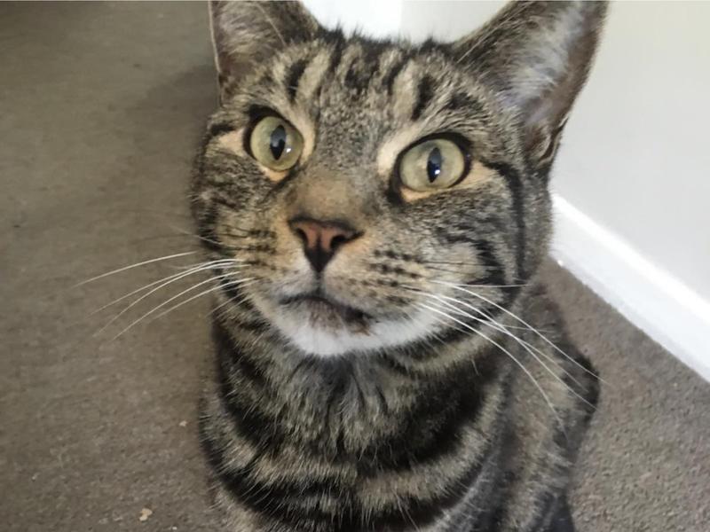 Help Jack's Dental Dilemma Updates Givealittle