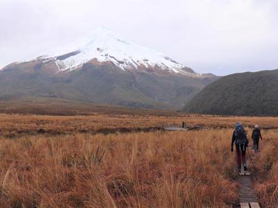 Walking for Women and Wetlands: Manon and Te Araroa trail