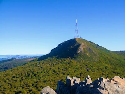 Conquer Mt Cargill Challenge