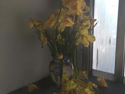 Cancer Society Marlborough Fire