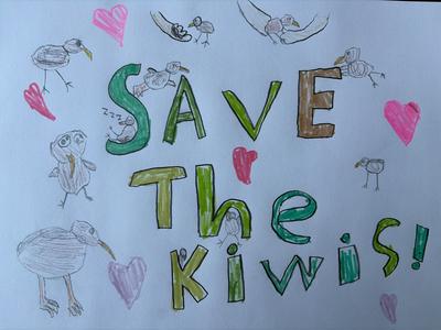 LET’S SAVE THE KIWIS!