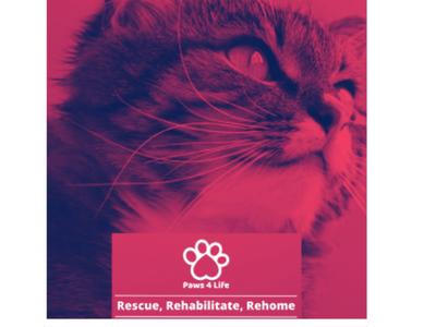 Making a difference one paw at a time!