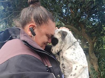 Bay of Islands Animal Rescue Shelter