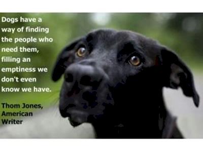  Jenni runs for the dogs