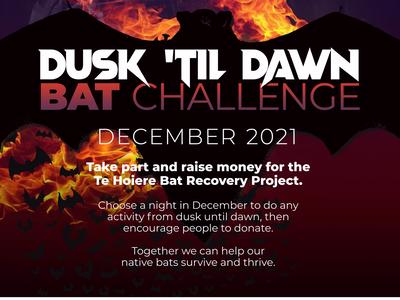 From Dusk 'til Dawn Bat Challenge 2021