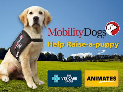 Raise-a-Puppy with Animates