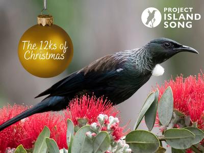 The 12ks of Christmas for Project Island Song
