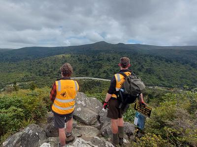 The Halo Project - Helping Otepoti Dunedin become Predator Free by 2050