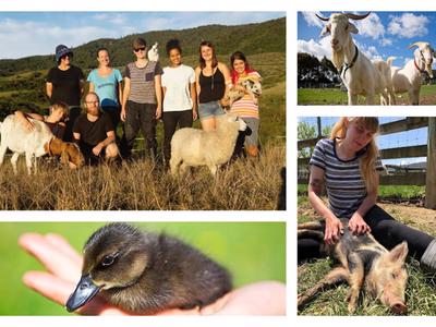 Black Sheep Animal Sanctuary