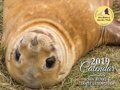 The 2019 Sea Lion Trust Calendar is HERE!