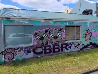 CBBR - The shelter a community built, needs to re-build.