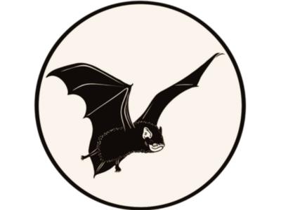 Pekapeka / New Zealand long-tailed bat