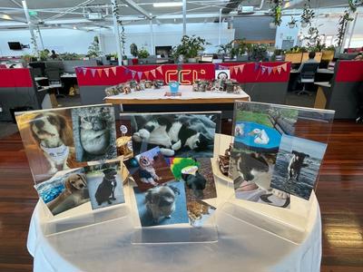 CCL Christchurch Christmas Fundrasier