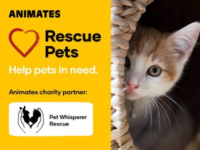 Animates Fundraiser - Proudly supporting Pet Whisperer Rescue