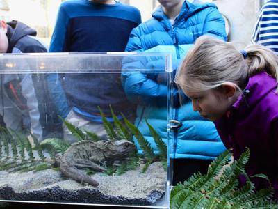 New Zealand Conservation Trust -  Conservation Education & Pest Control