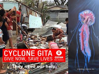 Cyclone Gita's aftermath