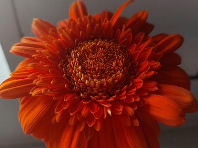 Getting fit for a good cause