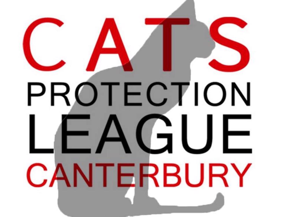 Cats protection hot sale cattery