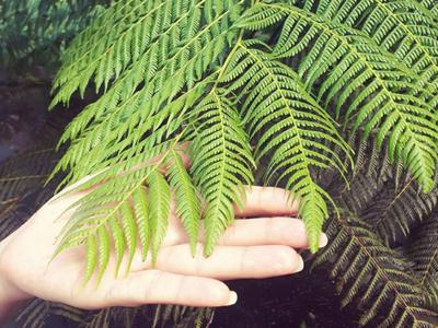 Big changes start with small steps