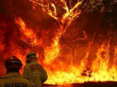 NSW Firefighting and Recovery Support