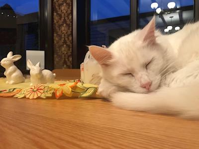 Latte's give a little page