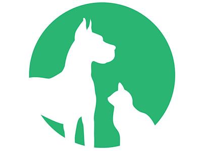 Tauranga Animal Rescue - Vet Bills