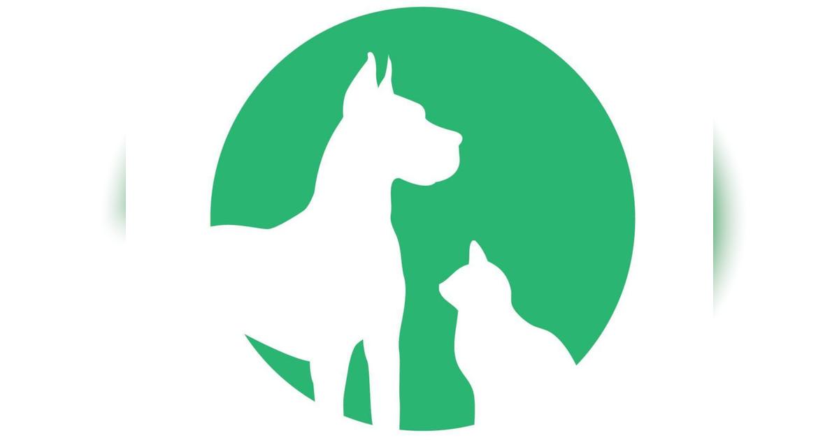 Tauranga Animal Rescue Vet Bills Givealittle