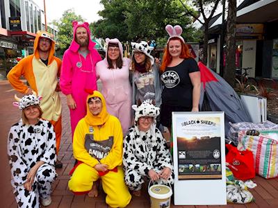 Black Sheep's 2019 Street Appeal