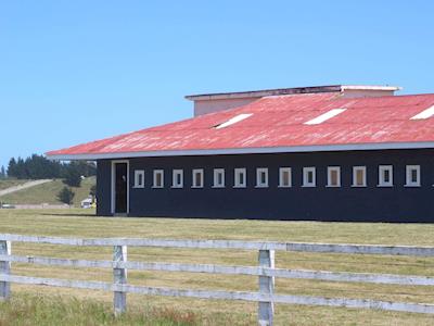Setting up an Art Recycling / Sustainable Living Centre 