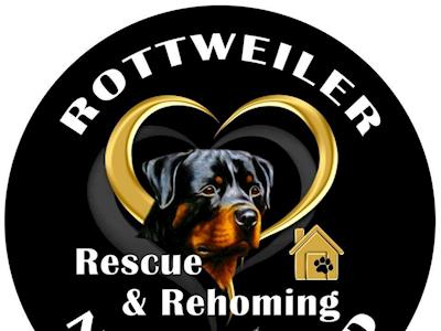 Rottweiler rescue hot sale yorkshire