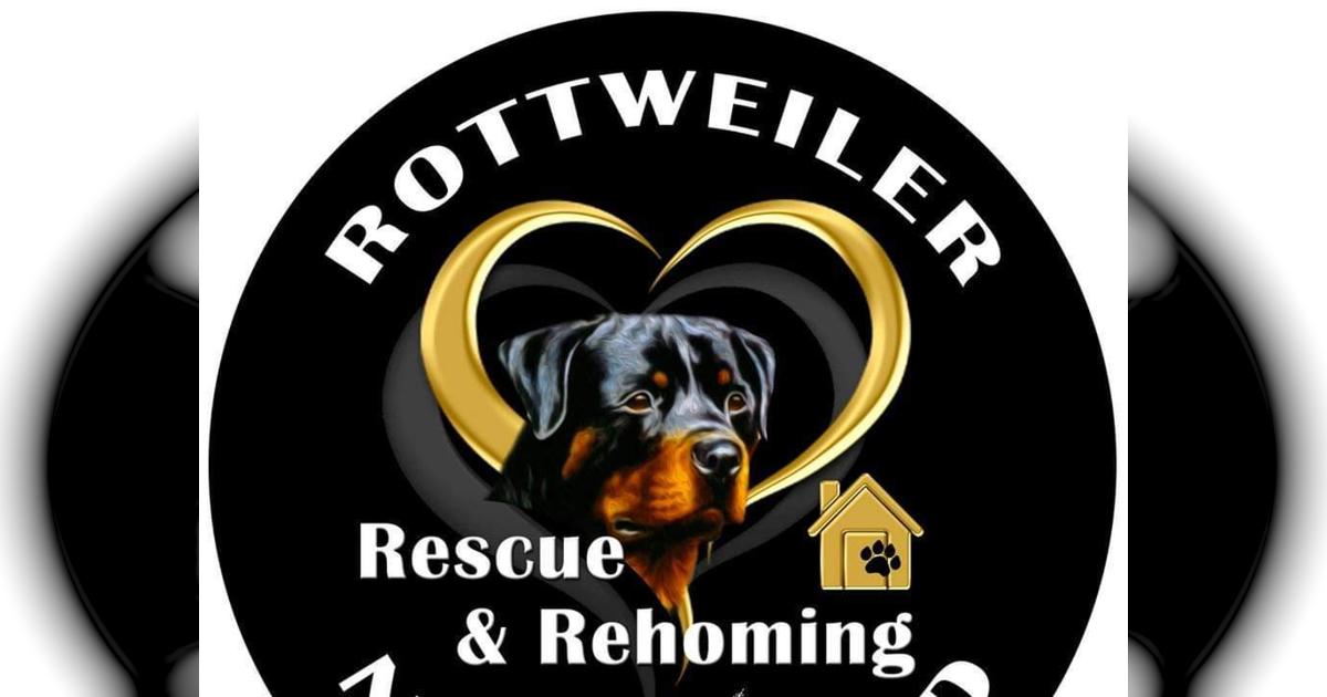 Rottweiler rehoming best sale