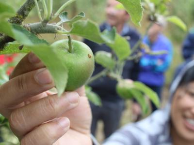 BHU Kai Sovereignty Action 2024/5