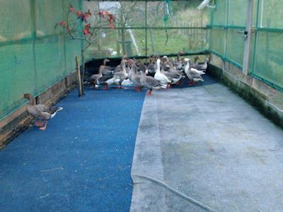 Help WBRT improve overall cleanliness and facilities