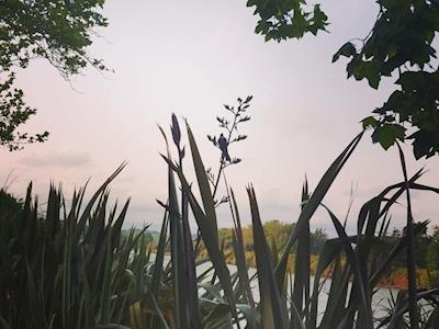 Women's Refuge Whanganui