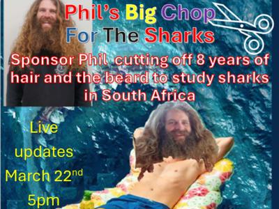 Phil's big chop for the sharks
