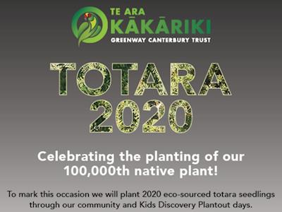 Totara 2020 with Te Ara Kākāriki