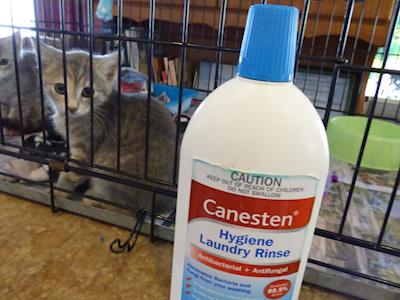 Keeping everyone healthly.